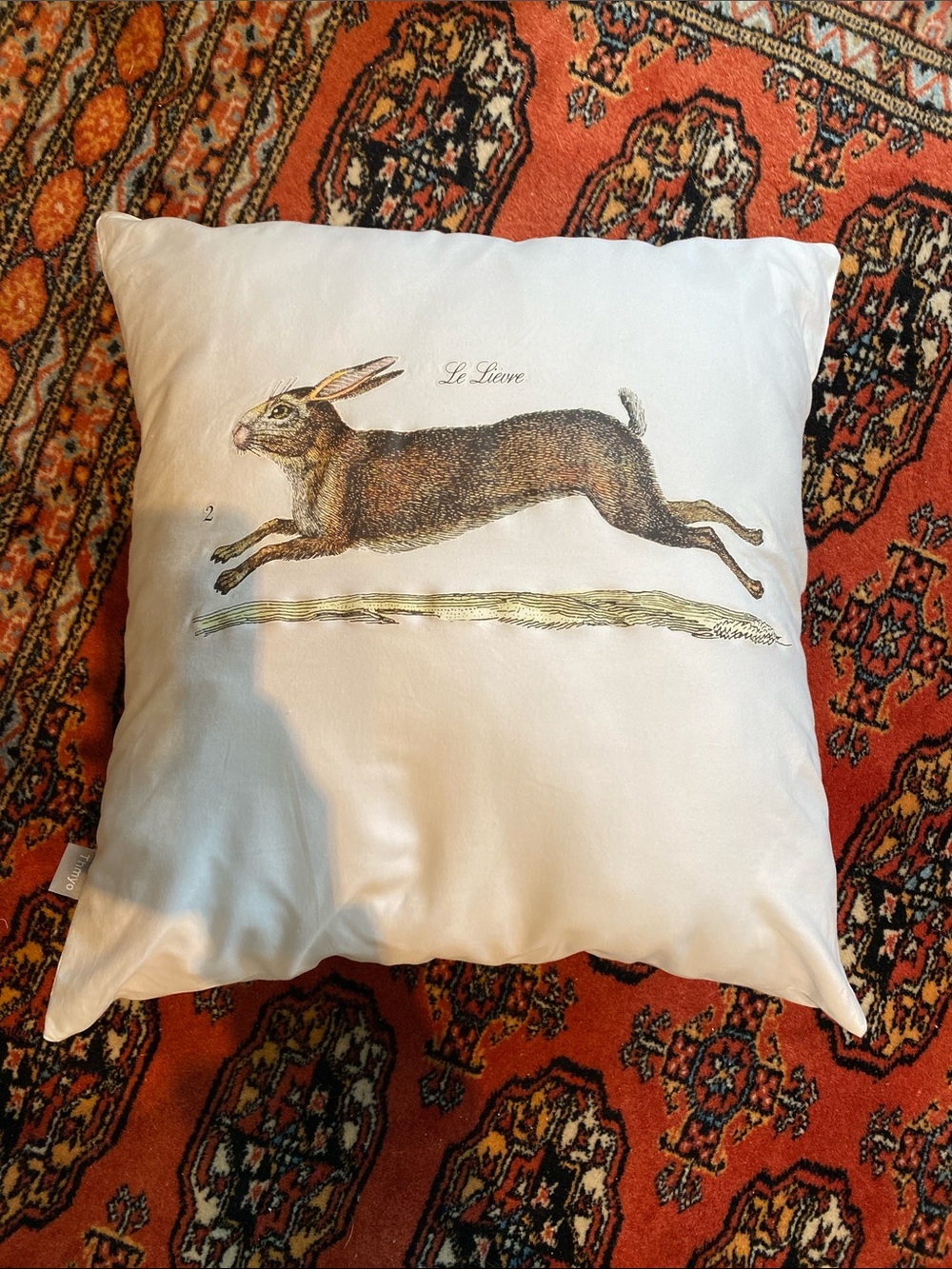 Le Lièvre Rabbit Accent Pillow